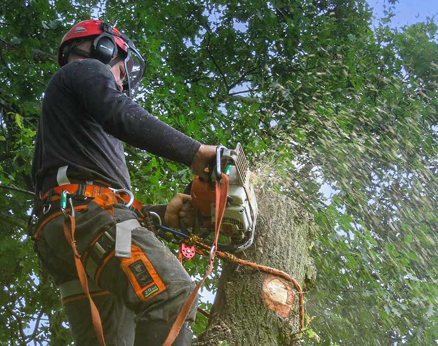 Greensteds Tree Surgery Ltd