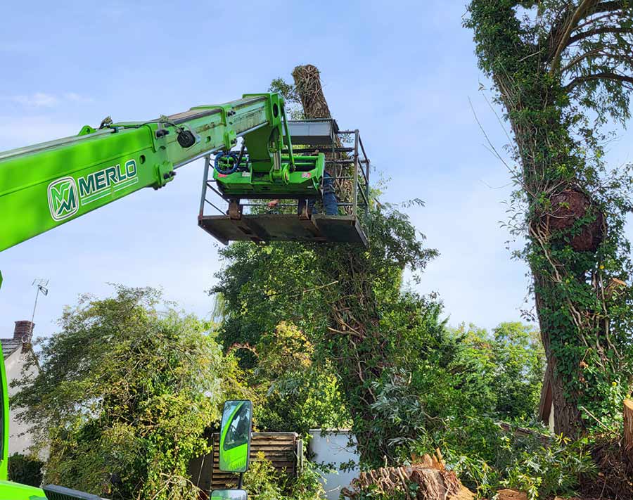 Greensteds Tree Surgery Ltd